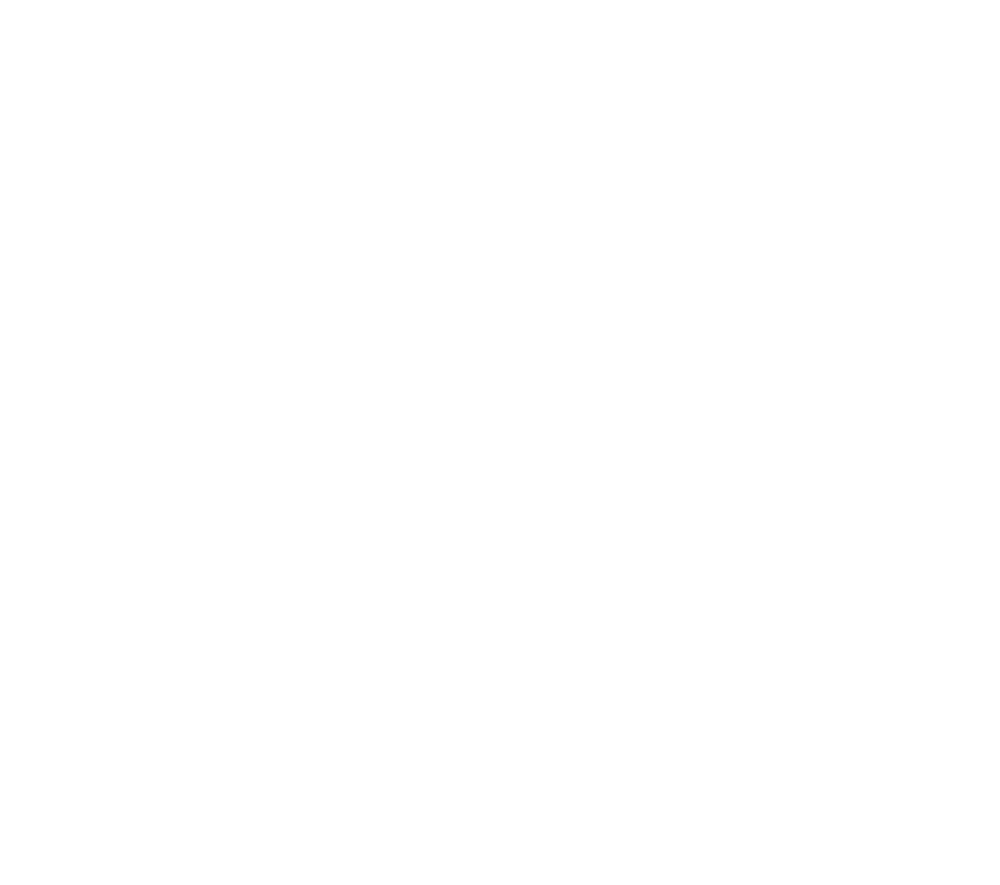 Logo Museo Virtuale Bracco